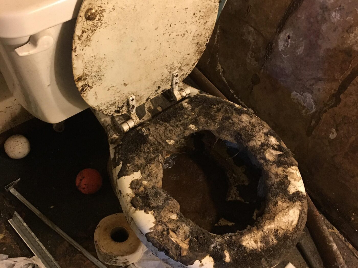 Phoenix specialist cleaner attending a difficult property
