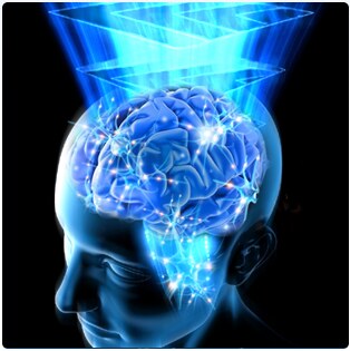 Illustration of the human brain relating to specialist brain matter cleanup