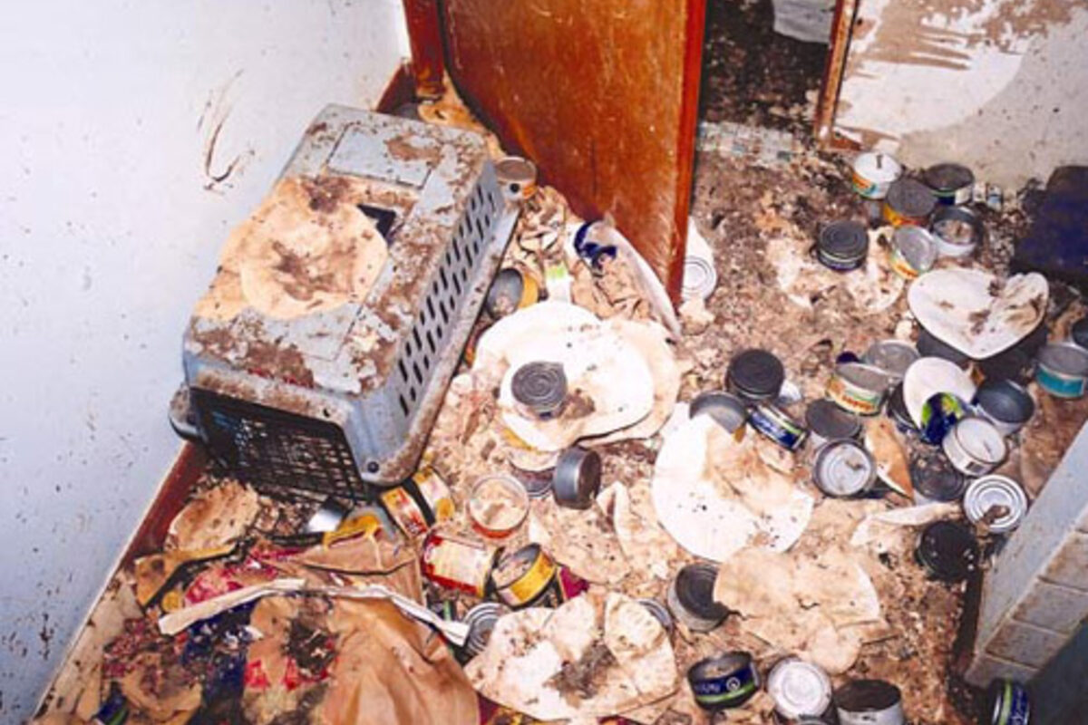 Specialist extreme hoarding clearance work in an Irish property