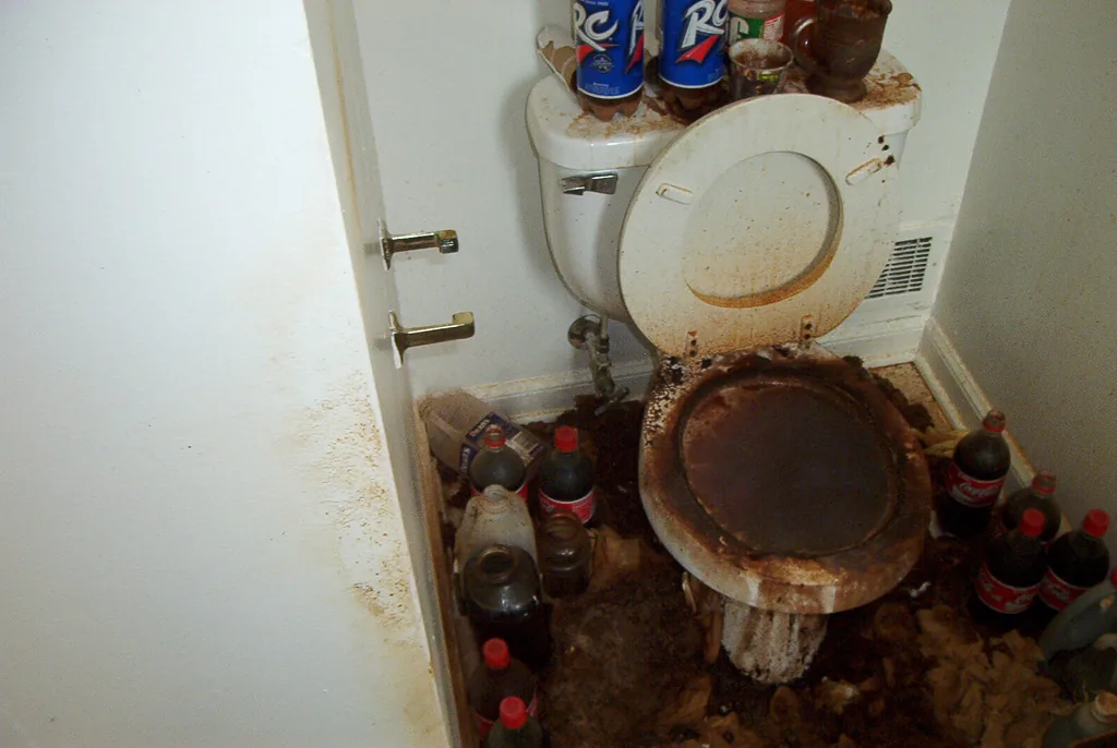 Before gross filth cleaning in Dublin bathroom