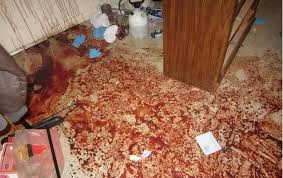 Before gross filth cleaning of contaminated floor in Dublin