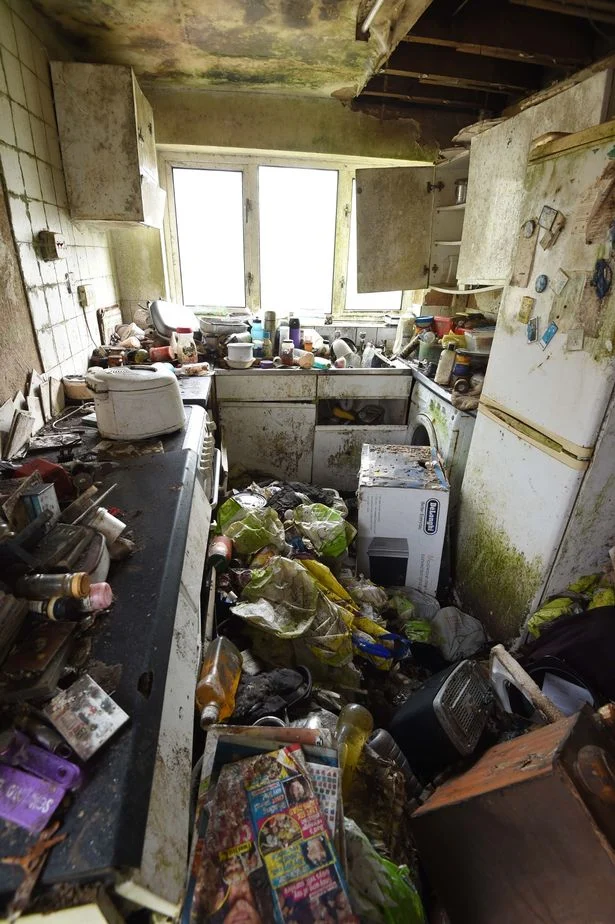 Gross filth cleaning Dublin hoarder kitchen property restoration