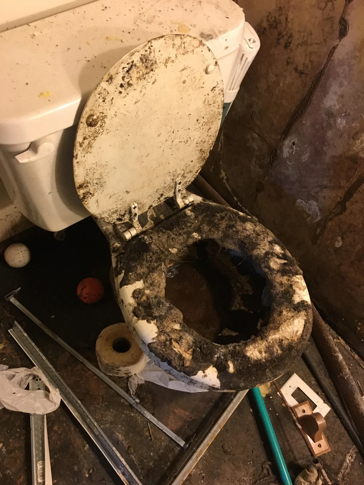 Gross filth cleaning Dublin severe squalor hoarder property