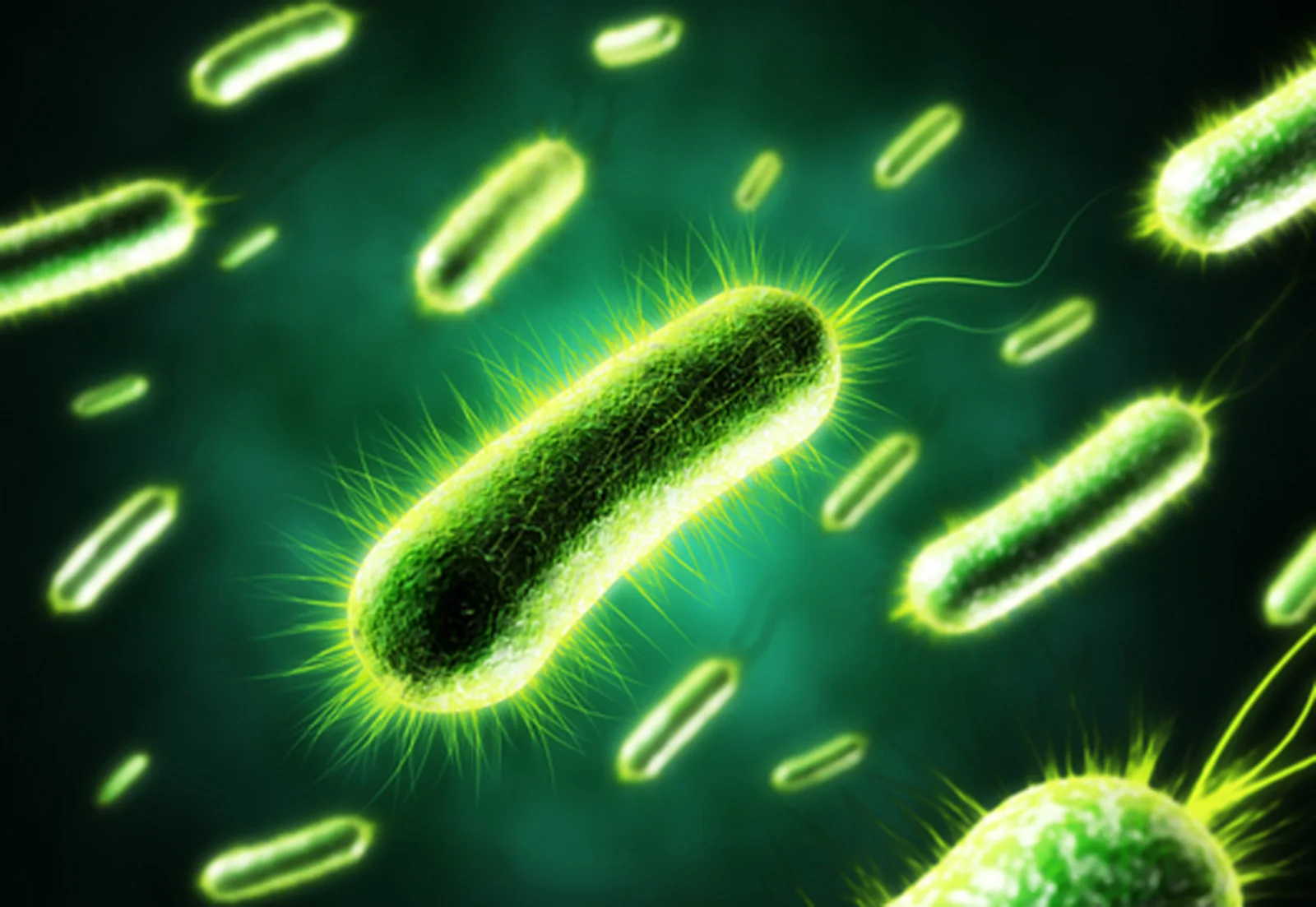 Biohazard bacteria contamination cleaning Dublin top banner