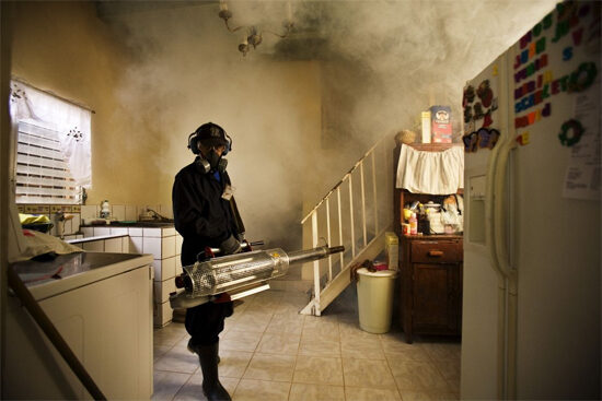 Specialist fumigation service for an affected property in Northern Ireland