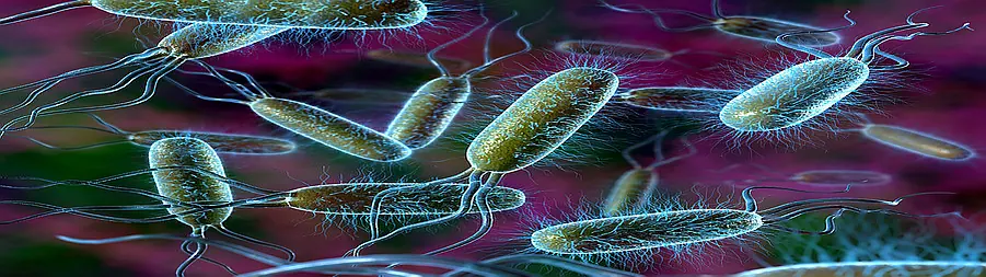 Bloodborne Pathogen Cleaning