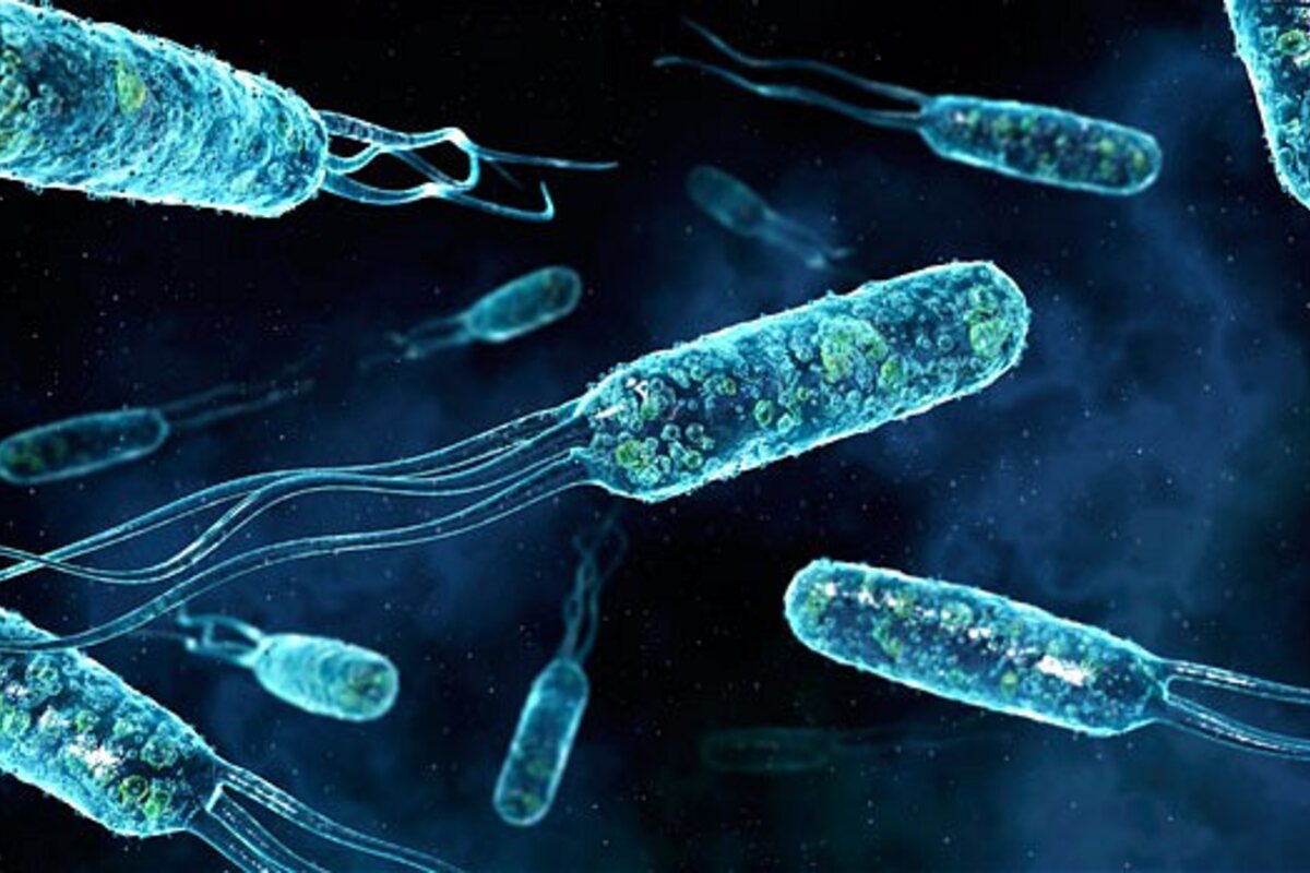 Microscopic representation of bacteria associated with biological contamination
